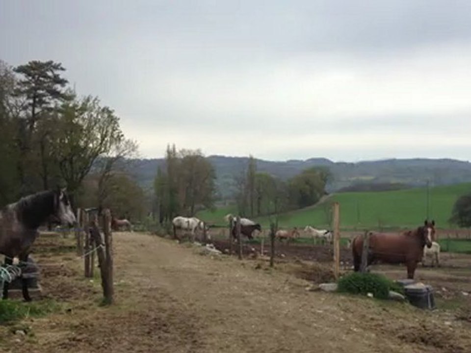 IMG_0447