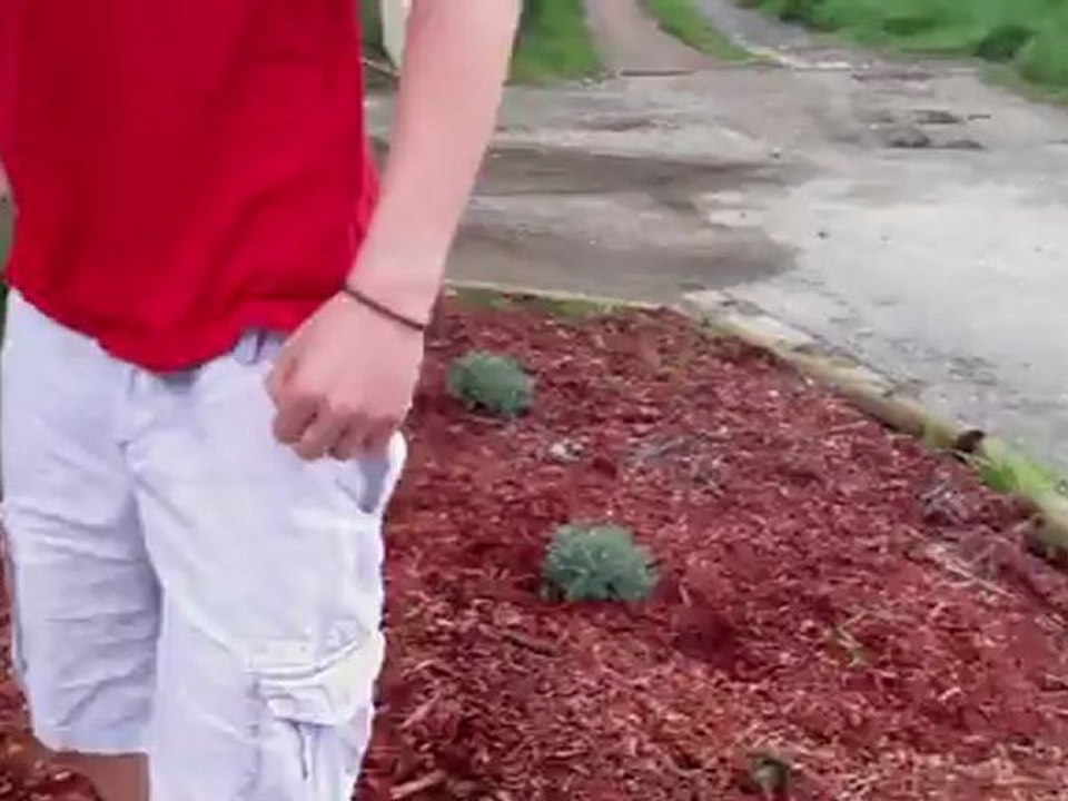 ENCHAINEMENT PUIS TIR DANS UNE POUBELLE