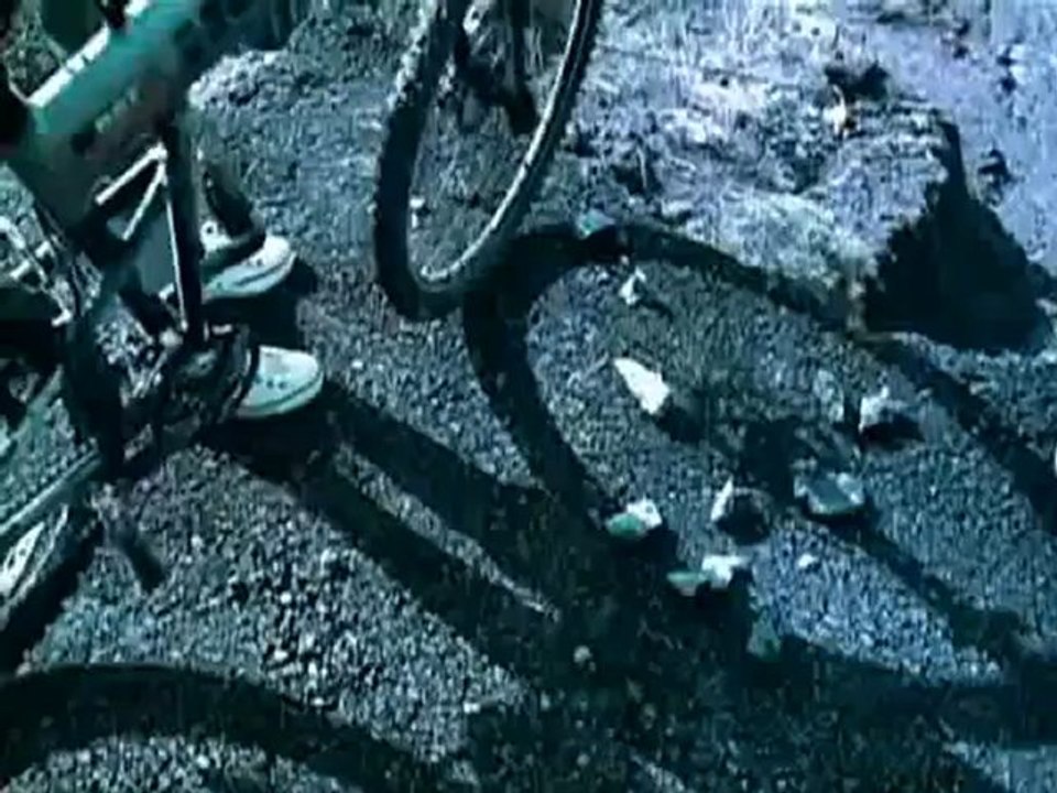 Spider Lilies 刺青