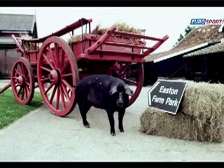 Ali Baba'nın bir çiftliği var