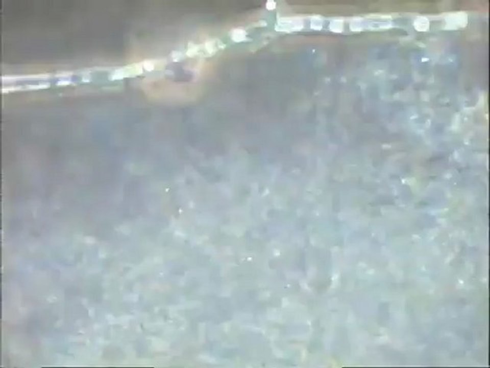 Examen des biomasses du pilote de dénitrification après ajout de sucre