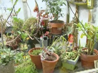 Green Church: Making Creation Care a Holy Cause - CBN.com