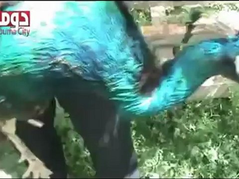 فري برس ريف دمشق دوما حتى الحيوانات لم تسلم من عصابت الأسد حين اقتحامها لمنطقة العب صباح اليوم 10 4 2012