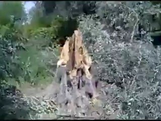 فري برس ريف دمشق مسرابا حملة التخريب والتدمير تطال حتى الحيوانات 10 4 2012