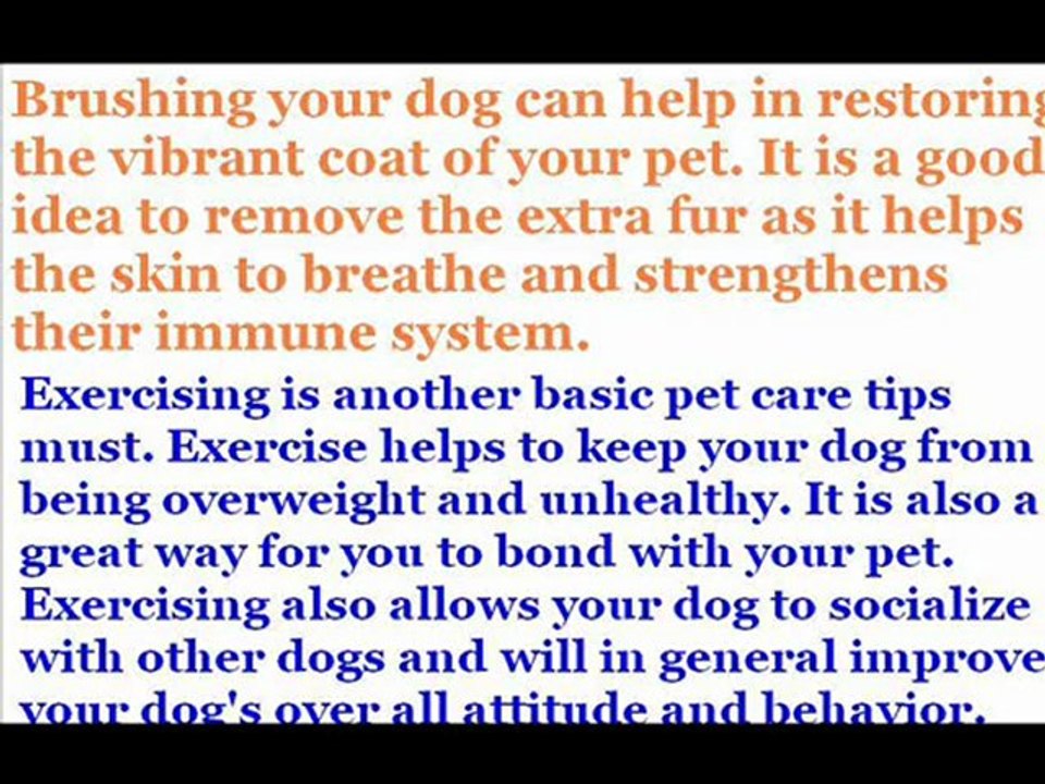 Pets Care Tips Guide 2012
