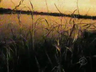 The One Who Got Away