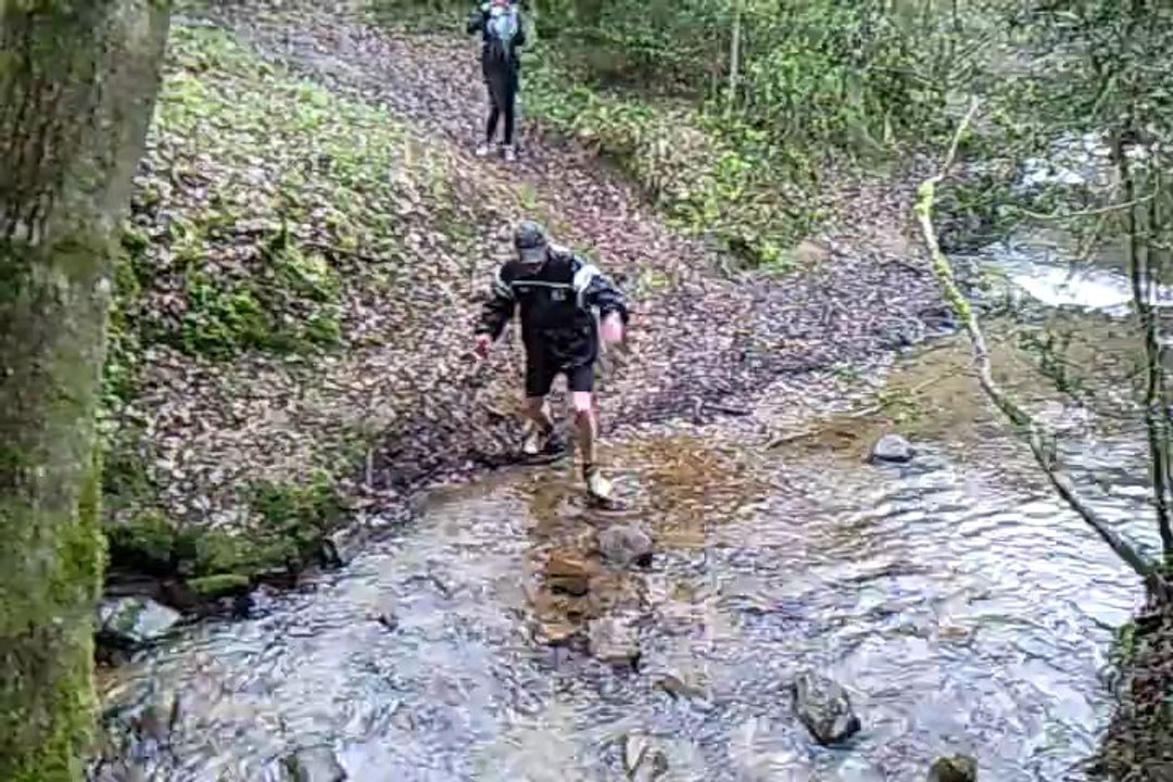 passage de l'ours.mp4