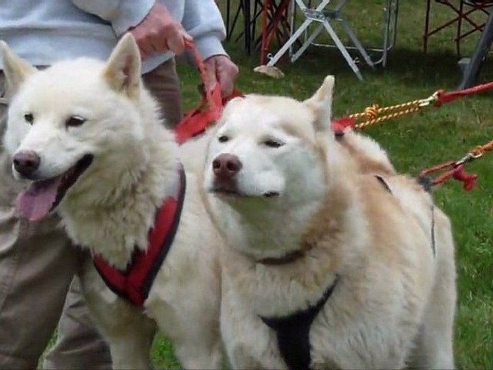 beaumontel 2012  1