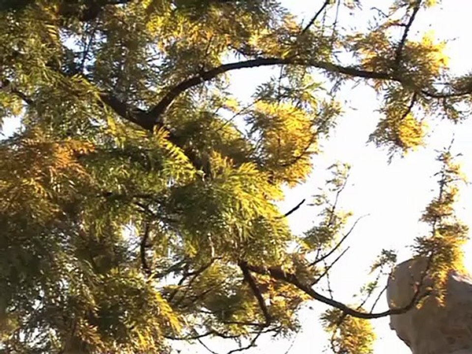 Exercices 2011-2012, par Escola Passos Manuel (11-16 ans), Lisbonne