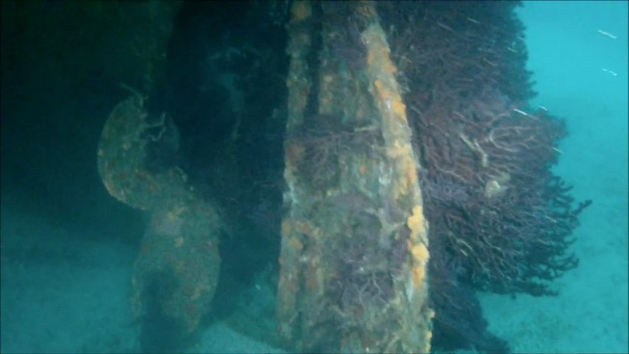 Plongée sur épave :  L'Arroyo   Mars 2012