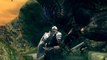 Trailer de Dark Souls Prepare To Die Edition sur PC
