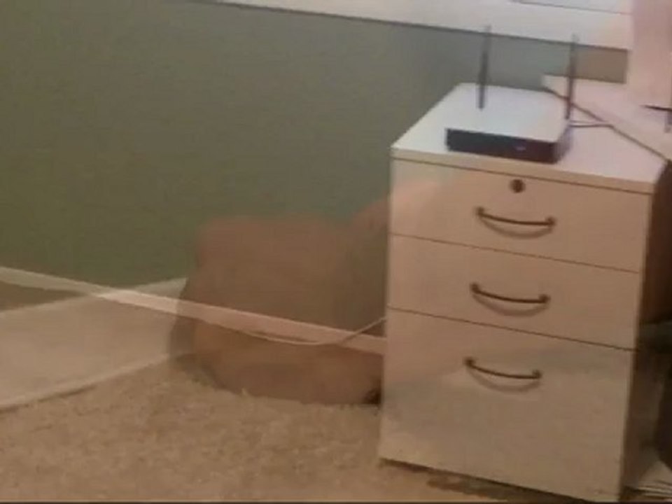 High Speed DSL Modem Installation - Pro Tech DSL Cord for Phone Jack To Modem Setup