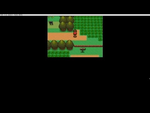 pokémon version diamant parti2 pleins de combat
