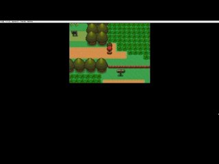 pokémon version diamant parti2 pleins de combat