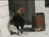 فري برس حمص لحظة سقوط 3 صورايخ حي الخالدية هااااااام11 4 2012