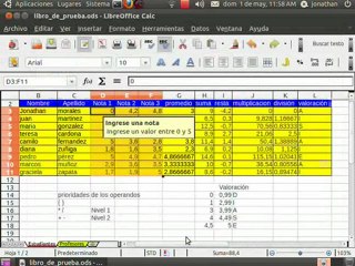 Videotutorial LibreOffice Calc 3