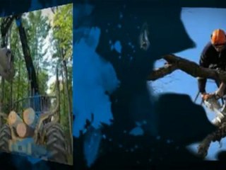 Don Taylor Contracting (208) 640-1951