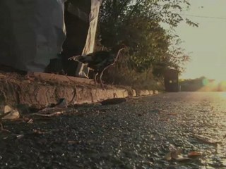 LA BM DU SEIGNEUR - Bande-annonce VF