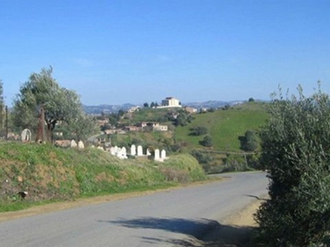 Zedek Mouloud - Tanṭelt