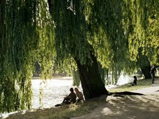 L'ETRANGERE - Bande-annonce VO