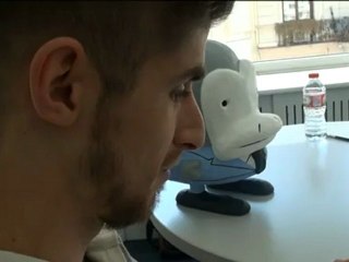 "Simiocracia", una mordaz guía sobre la loca carrera de España hacia el abismo