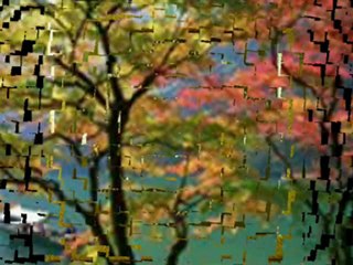 Gel Allaha Allaha c.c