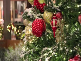 Canon T3i Test Footage - Indoor & Outdoor Video Recordings