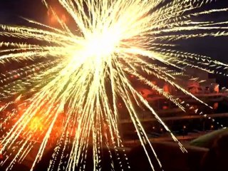 LE CHAT POTTE - Bande-annonce2 VO