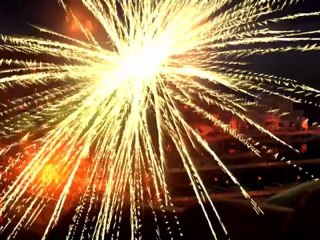 LE CHAT POTTE - Bande-annonce VF