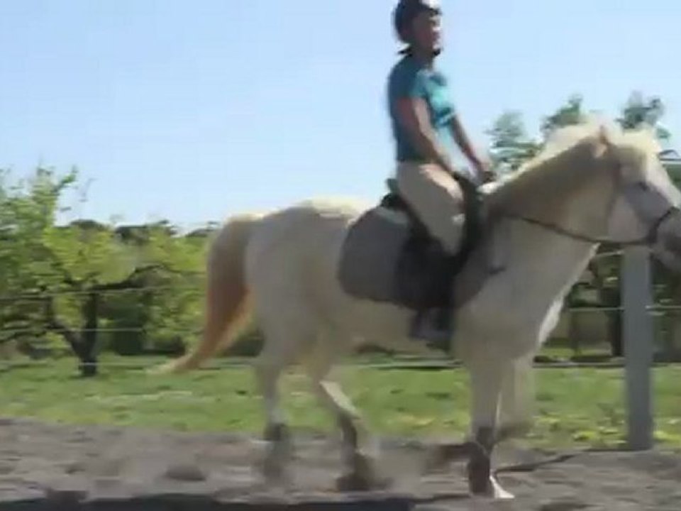 Kitty