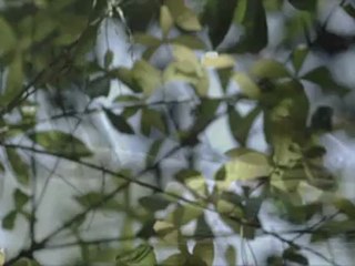 TWO GATES OF SLEEP - Bande-annonce VO