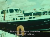 L'IRLANDAIS - Bande-annonce VO