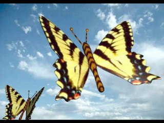 LA xDERNIERE FEMME BERNARD LAVILLIERS