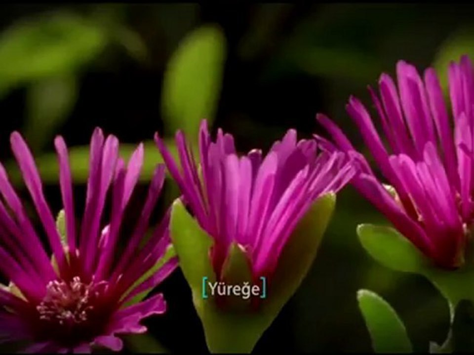 2012 KUTLU DOĞUM Sinevizyon filmi