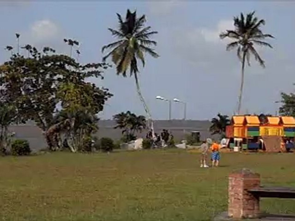V 019