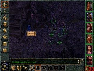 Baldur's gate 1 (10) Prisme et loup gris