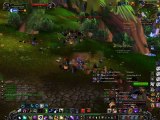 WoW Gold Secrets and Fast Leveling Guides