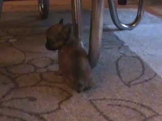 Harjoitus tekee mestarin 001