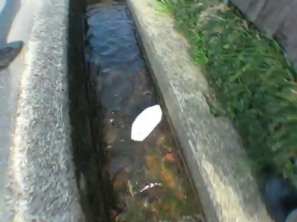 un petit bateau sur l'eau