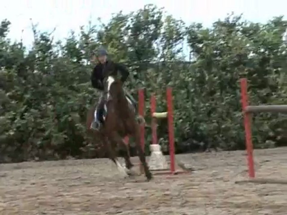 Etude d'un barrage CSO (stage Nathalie d'Orgeix 2012)