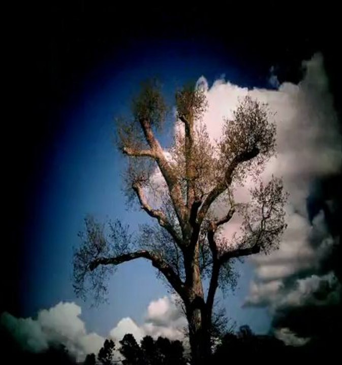 Timelapse - Premier Essai