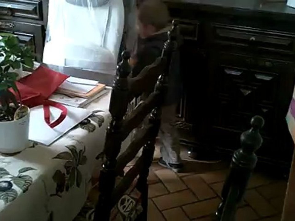 Chasse pour Nico