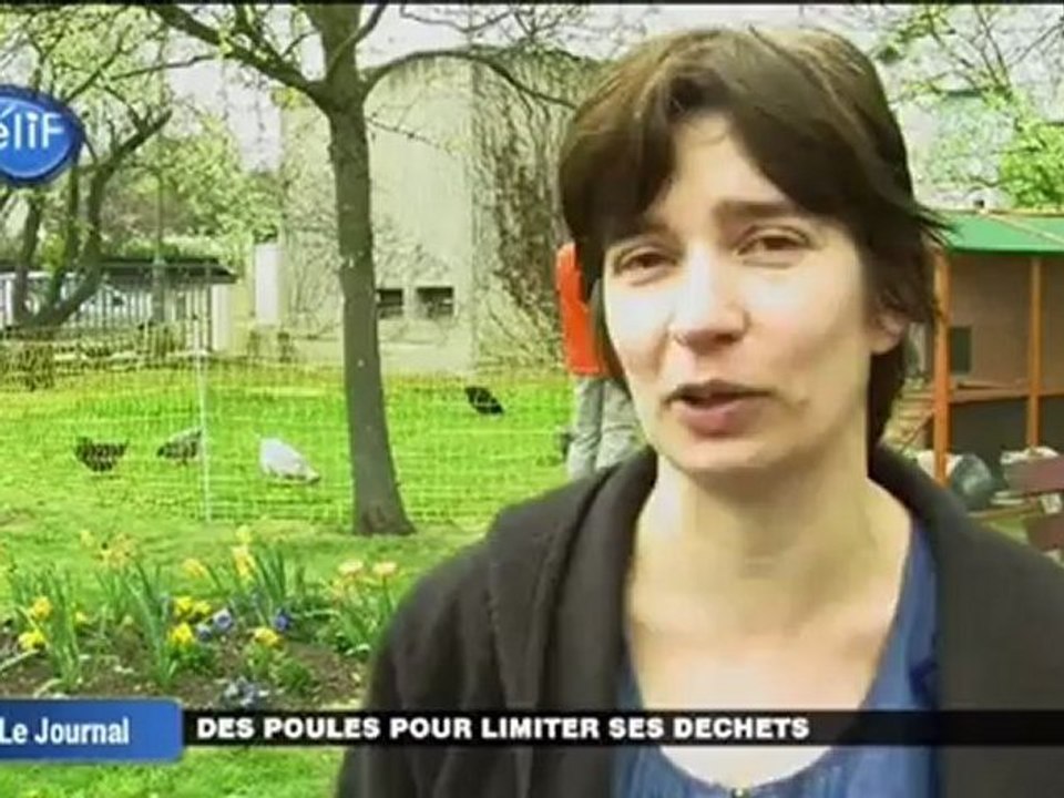 Des poules pour limiter ses déchets (Saint-Prix)
