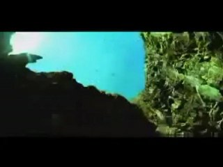 Kaan Can YAVUZ -UYU [ Küb Shn ]