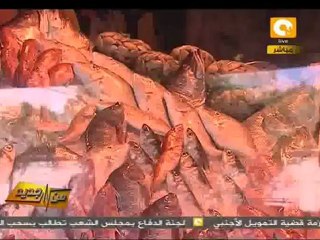 من جديد: مشروع لمضاعفة الثروة السمكية