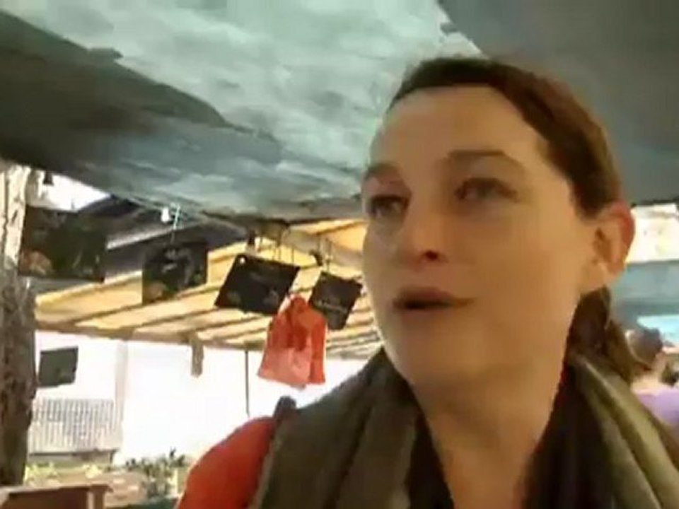 France: The Last Farm in Paris | European Journal