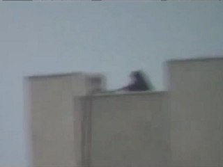 فري برس حمـــاة المحتلةمنطقة الحاضر القناصه مازالت مستمرة2012 4 12Hama