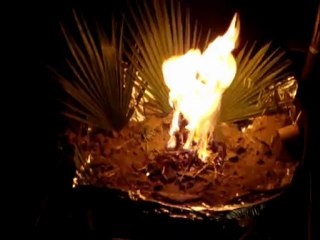 Projet 1 Fac art pla