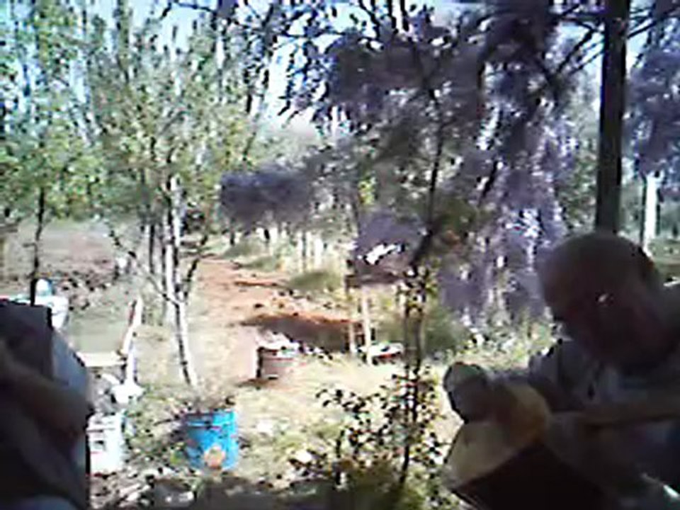 MENEKŞE KOYMUŞLAR GÜLÜN ADINI