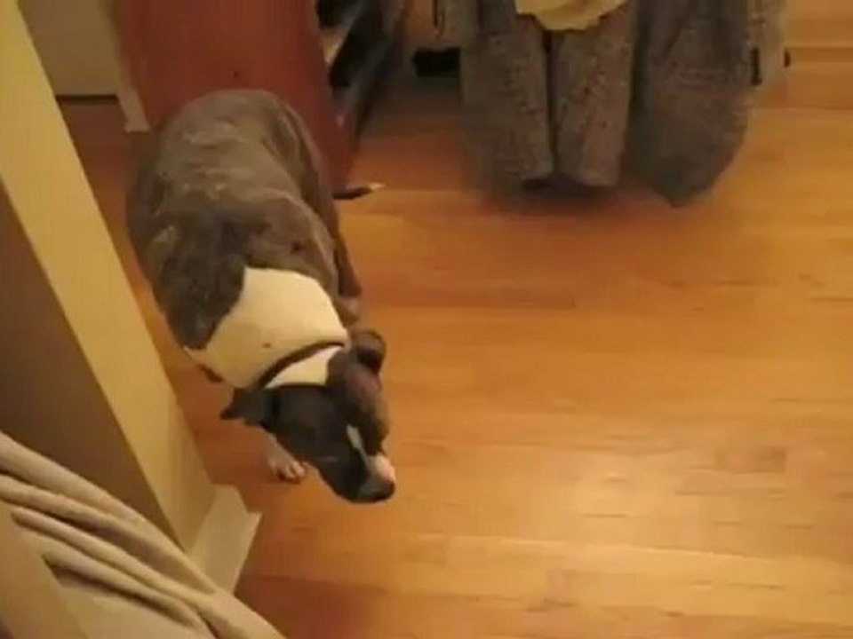 Καμιά φορά δεν μπορείς να κρύψεις ότι εσύ φταις για όλα